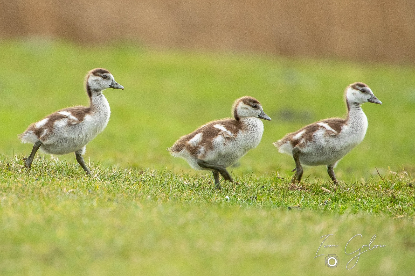 05 april 2022 154749 1DX47907